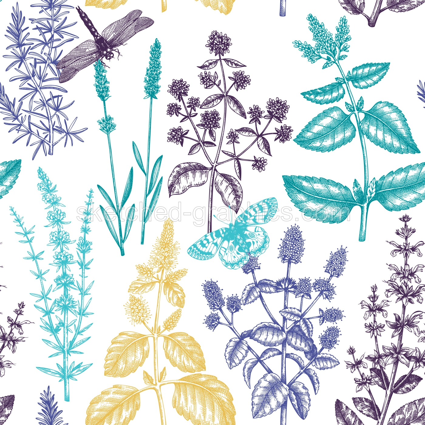 Mints and balms seamless pattern. Hand sketched aromatic and medicinal herbs background. Herbal tea ingredients. Mint plants for cosmetics, perfumery, textile, wrapping, packaging, fabric.  Illustration